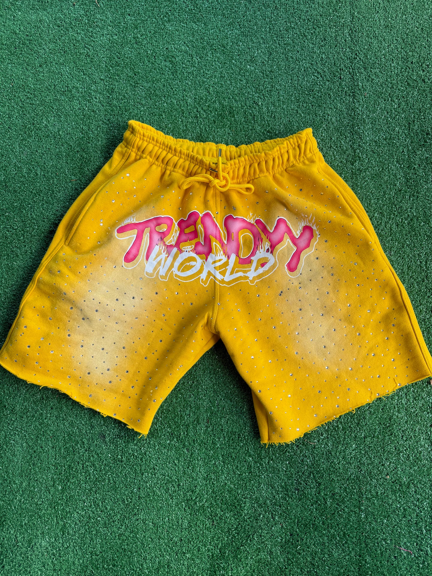 Trendyy world shorts